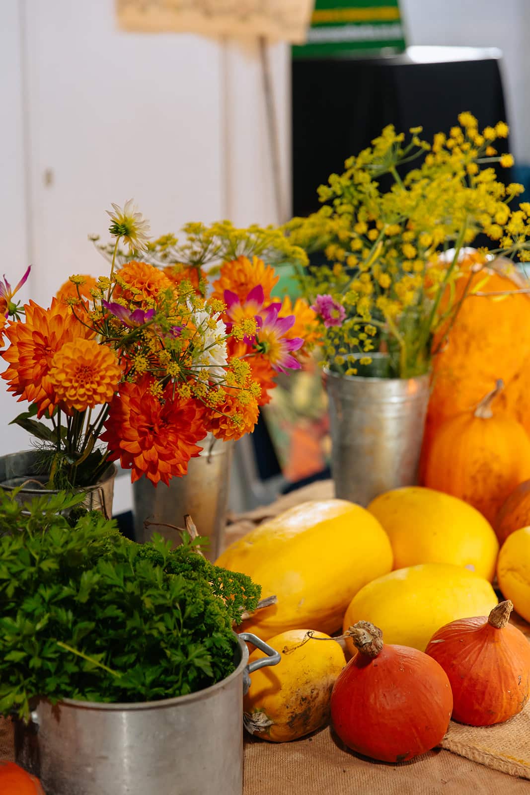 Pumpkin Day & Harvest Swap @celienigoumi
